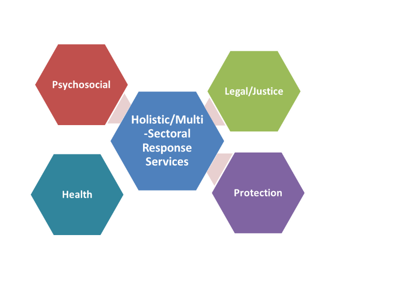 Figure 1: Multi-Sectoral Survivor Programming 